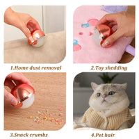 Reusable Pet Hair Remover Roller